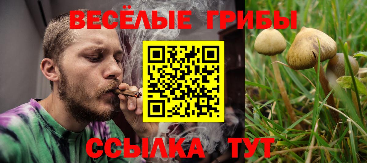 Псилоцибиновые грибы GOLDEN TEACHER  Вход с VPN  Луховицы 